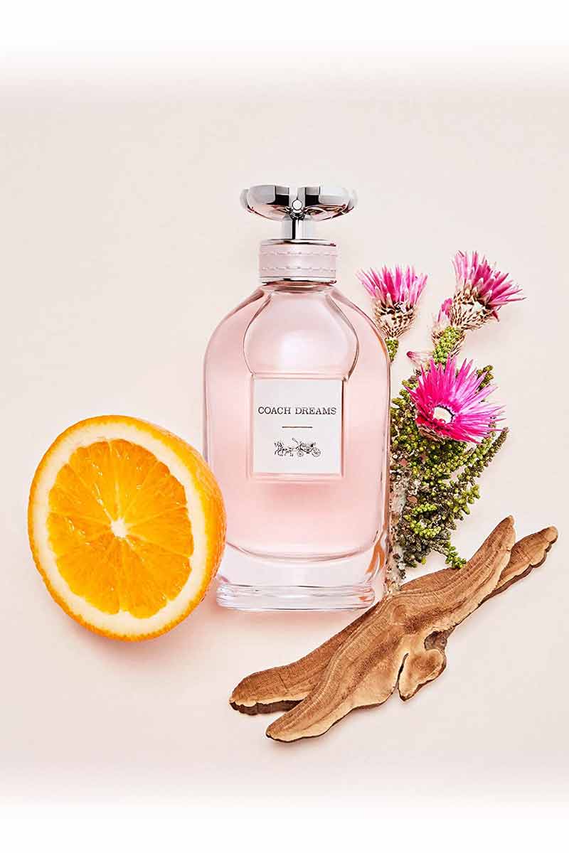 DREAMS EDP F Women perfume Coaach 100ml