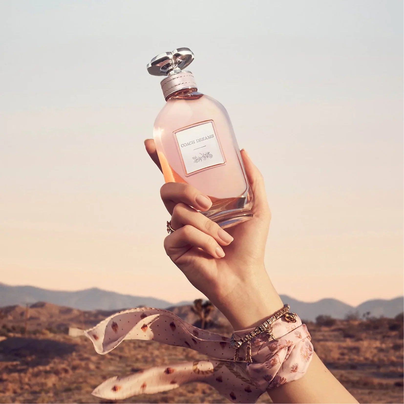 DREAMS EDP F Women perfume Coaach 100ml