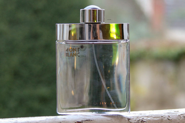 Montt Blanc Individuel Mens Parfum 100ml