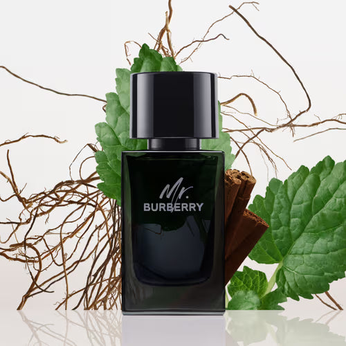 Mrr Burbeerry men perfume 100ml