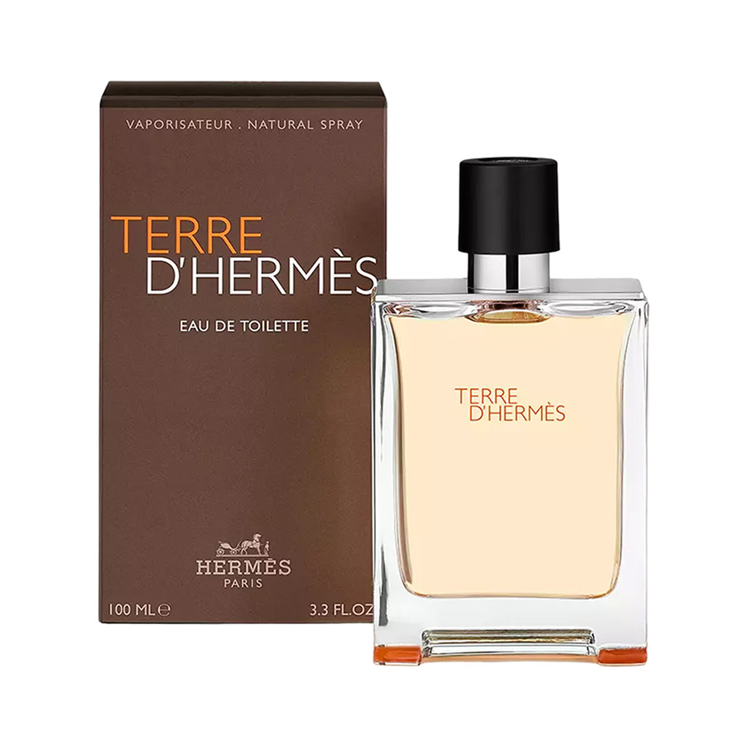 Terre d’Hermmès Eau de Toilette – 100ml ChronoMist