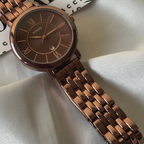 Foossiil Jacqueline Brown Dial Brown Steel Strap Watch for Women ChronoMist