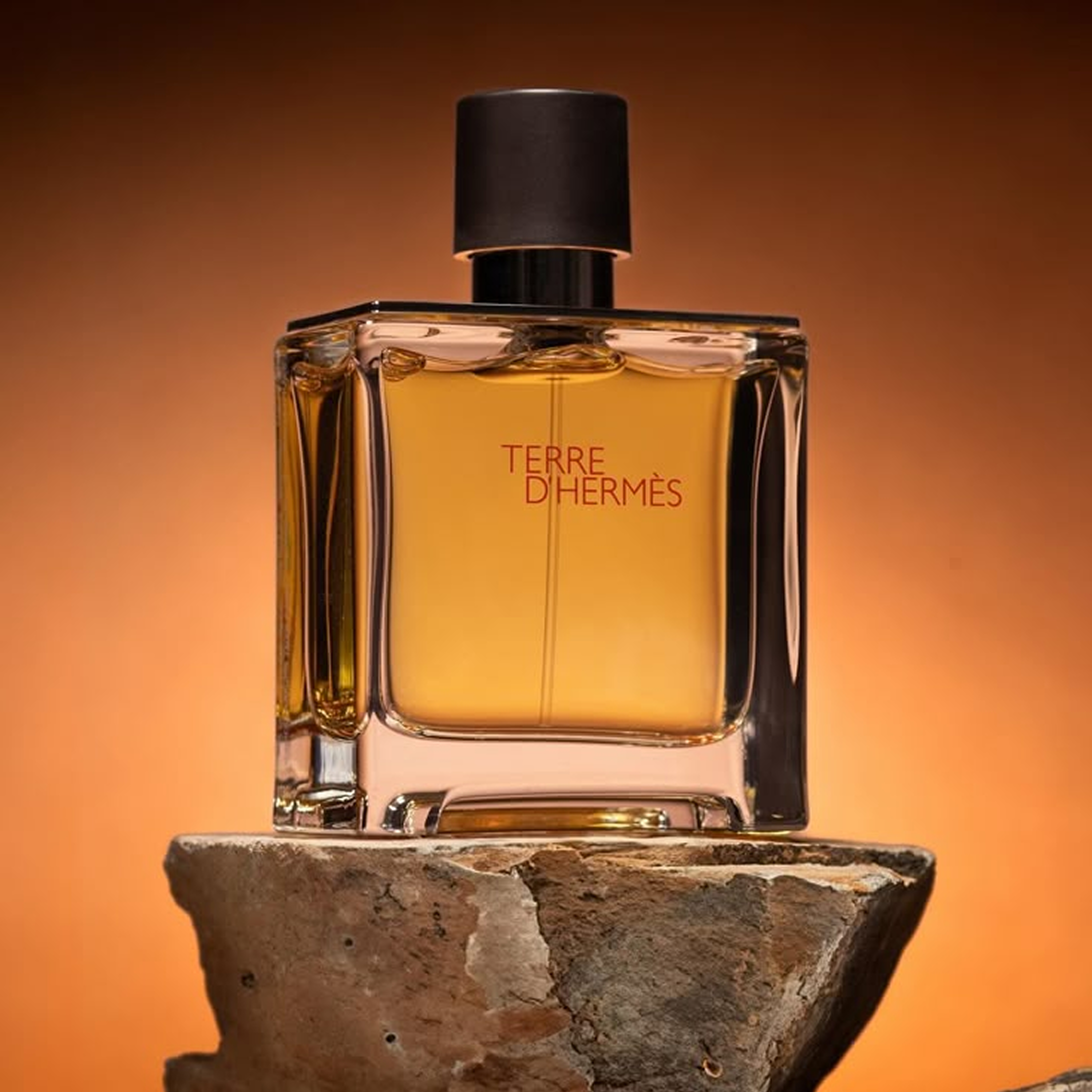 Terre d’Hermmès Eau de Toilette – 100ml ChronoMist