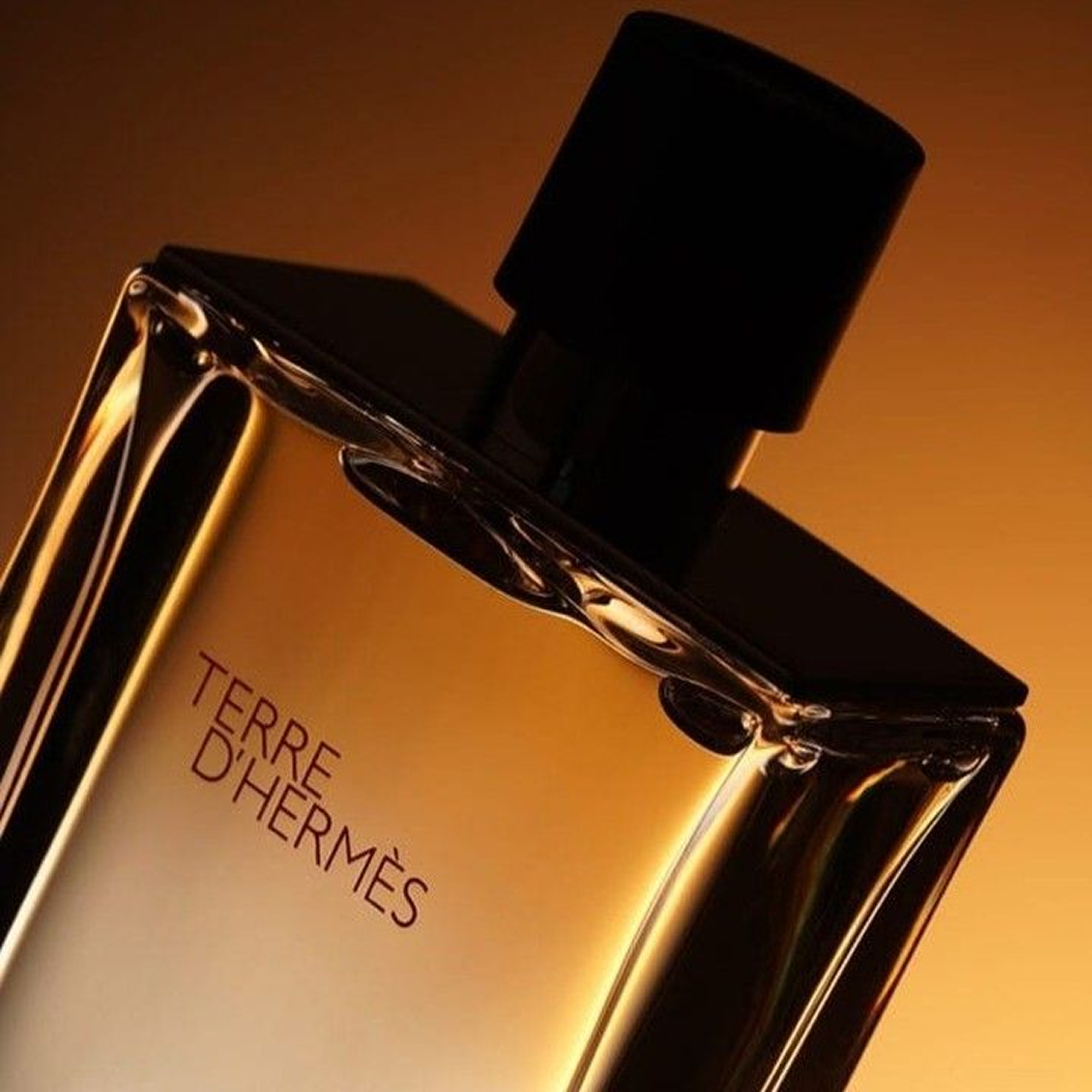 Terre d’Hermmès Eau de Toilette – 100ml ChronoMist