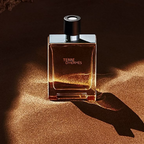 Terre d’Hermmès Eau de Toilette – 100ml ChronoMist
