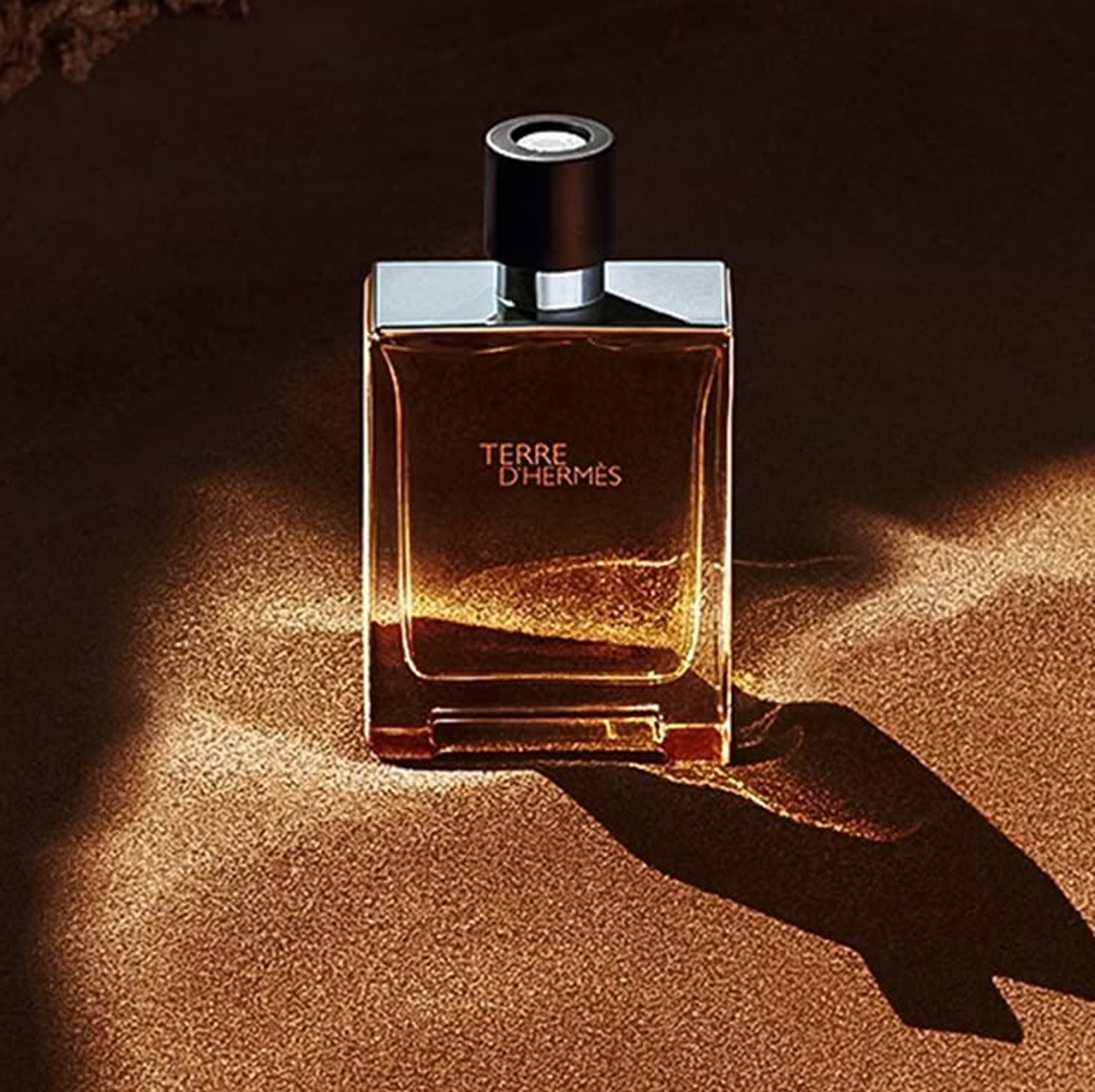Terre d’Hermmès Eau de Toilette – 100ml ChronoMist
