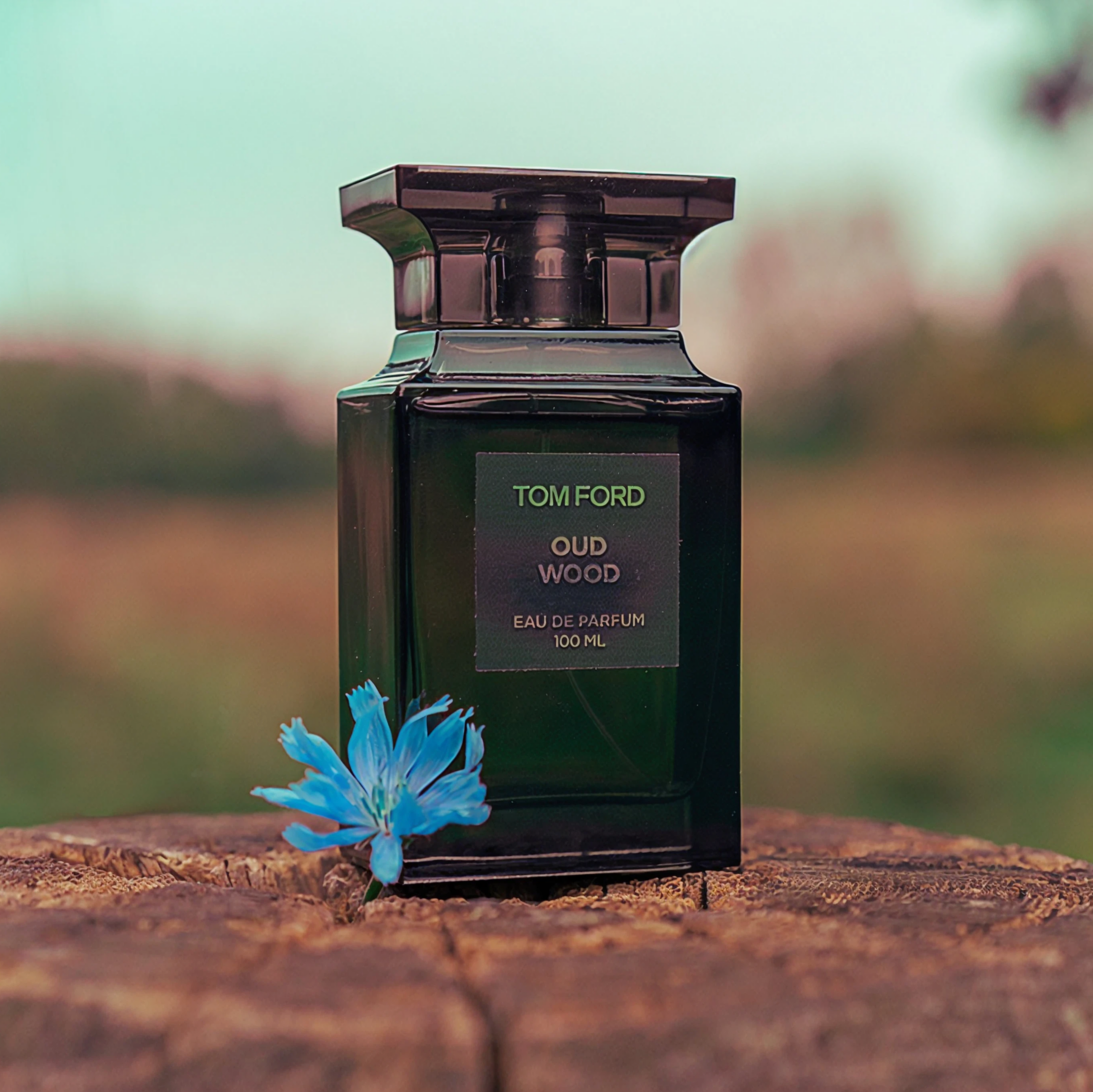 Oud Wood | 100ml ChronoMist