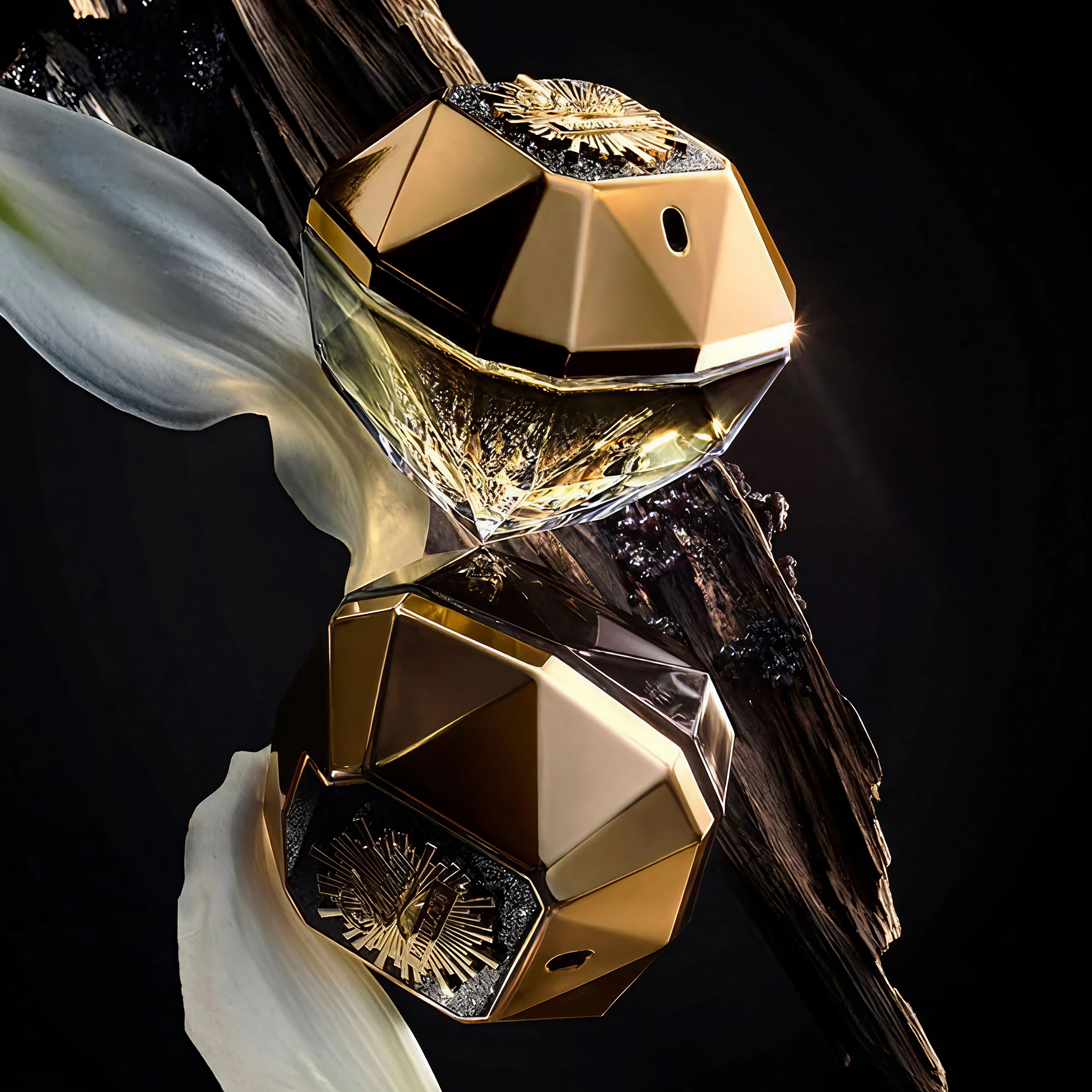 Lady Million Fabulous Eau de Parfum | 100ml ChronoMist