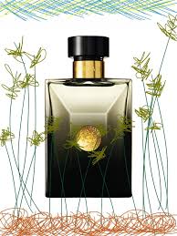 Oud Noir Vercese for men's 100ml parfum