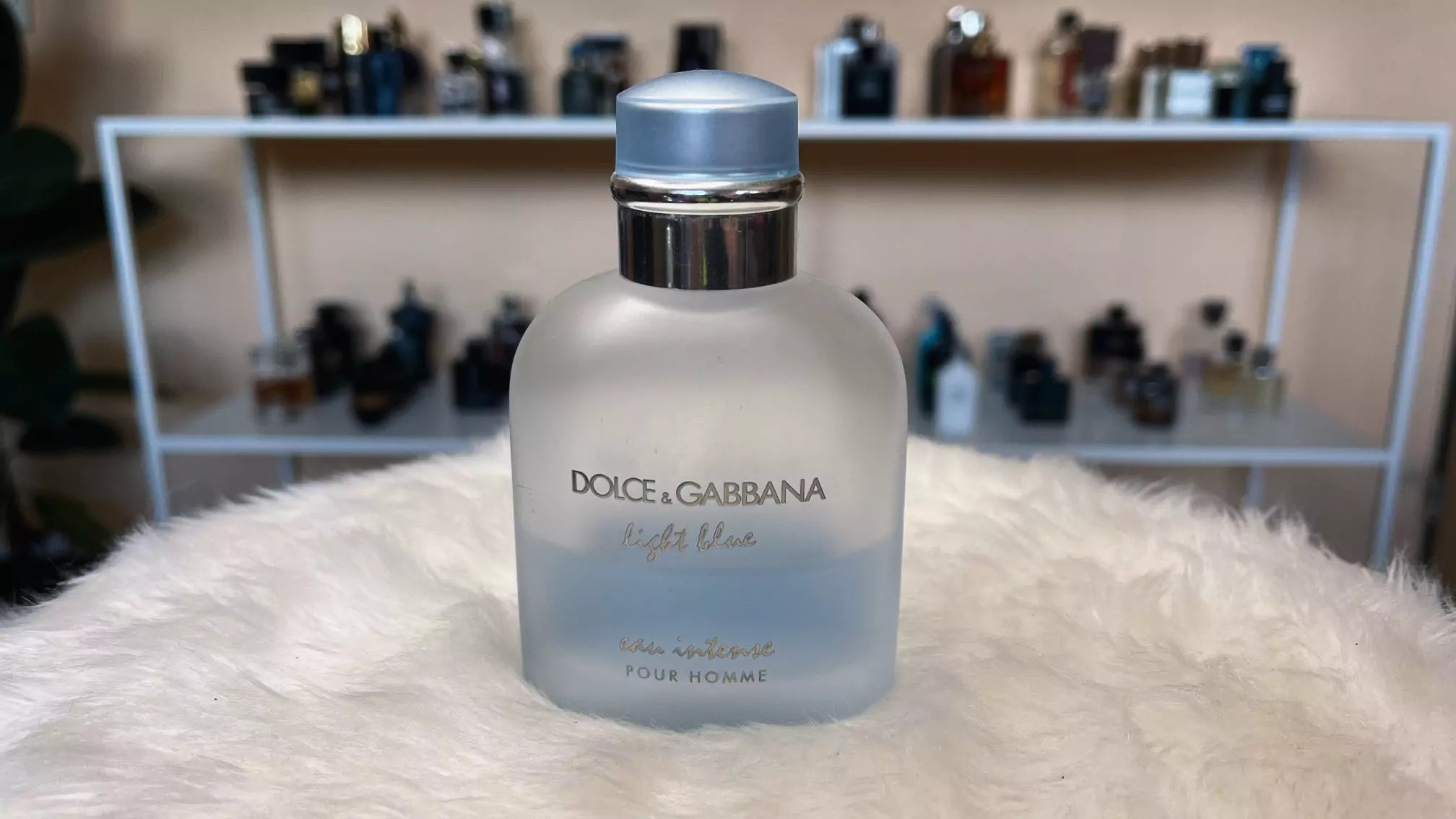 Light Blue Intense by D & G Mens 100ml